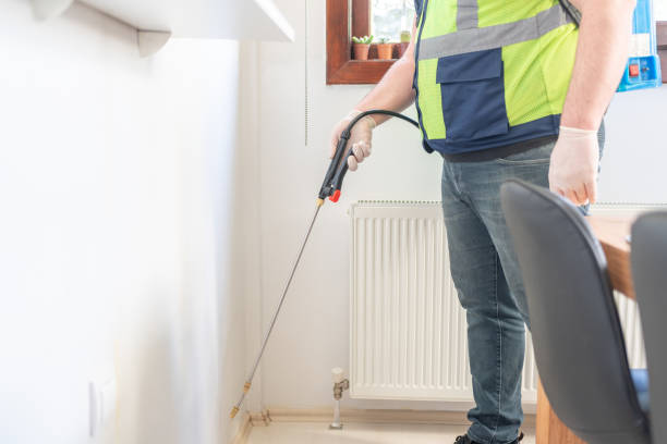 Best Mosquito Control Services  in Boonville, CA
