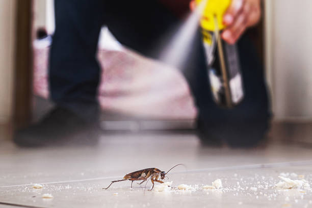 Best Bed Bug Extermination  in Boonville, CA